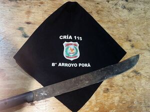 Brutal golpiza de un hombre a su pareja en Arroyo Pora