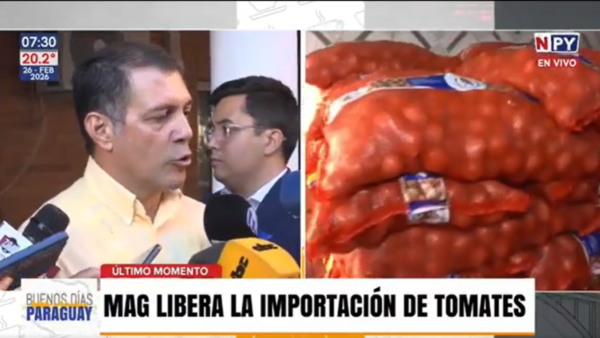 MAG libera la importación de tomates ante denuncias de especulación y falta de stock