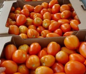 Cartera agropecuaria libera importación de tomate de manera temporal