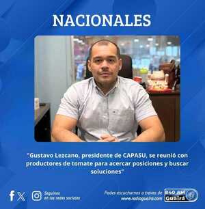 SUPERMERCADOS Y PRODUCTORES BUSCAN SOLUCIONES PARA BAJAR EL PRECIO DEL TOMATE