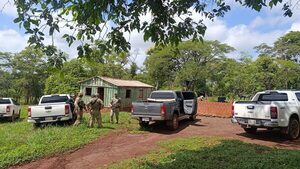 Desmantelan enclave de producción de variedades premium de cannabis destinadas al mercado brasileño