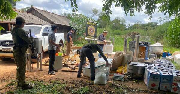 Diario HOY | Desmantelan campamento de producción de marihuana premium en Amambay