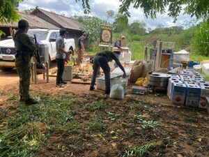 Senad desmantela enclave de producción de marihuana prémium en Amambay