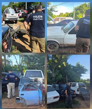 Popular / Allanan feroz desarmadero clandé