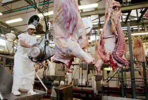 Paraguay abre el mercado de Uzbekistán para carne bovina y ovina