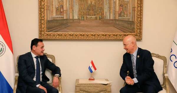 La Nación / Gobierno y PNUD analizan cooperación estratégica para el desarrollo nacional