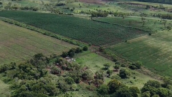 Anulan un lugar de producción de marihuana premium