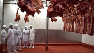 Uzbekistán abre su mercado a carnes de especies bovina y ovina