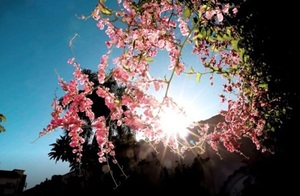 Fin de semana con calor en aumento en el país