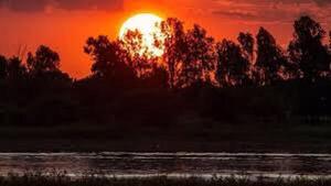 Viernes con aumento de temperaturas y humedad del 86%