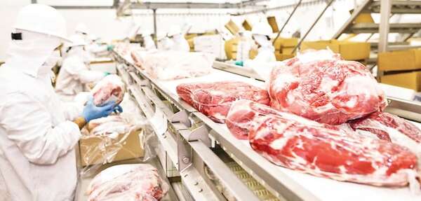 Carne bovina y ovina de Paraguay llegará al mercado de Uzbekistán - Nacionales - ABC Color