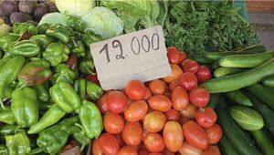 Precio del tomate aumenta, pero no hay exceso en la feria distrital de Concepción - Concepción al Día