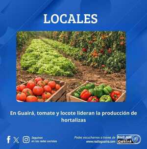 PRODUCCIÓN DE HORTALIZAS EN GUAIRÁ: TOMATE Y LOCOTE SON LOS DE MAYOR VOLUMEN Y NO HUBO QUEJAS SOBRE LA VÍA LIBRE A LA IMPORTA