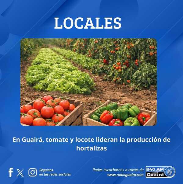 PRODUCCIÓN DE HORTALIZAS EN GUAIRÁ: TOMATE Y LOCOTE SON LOS DE MAYOR VOLUMEN Y NO HUBO QUEJAS SOBRE LA VÍA LIBRE A LA IMPORTA