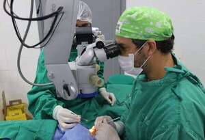 Día del Trasplante: ¿cuántos pacientes esperan órganos en Paraguay? - Nacionales - ABC Color