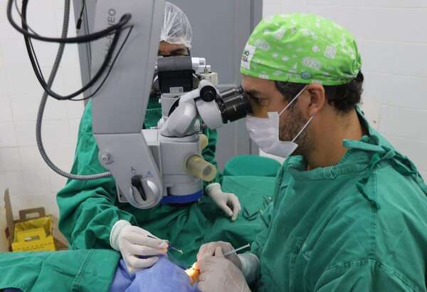 Día del Trasplante: ¿cuántos pacientes esperan órganos en Paraguay? - Nacionales - ABC Color