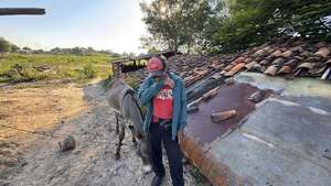 Popular / ¡Ma'ena! Liquidaron a caballo que laburaba con su dueño olero