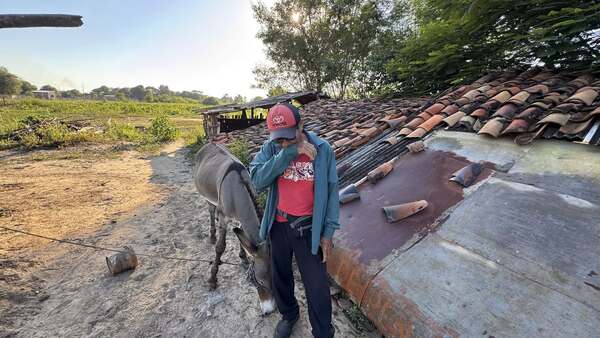Popular / ¡Ma'ena! Liquidaron a caballo que laburaba con su dueño olero