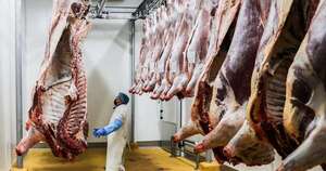 La Nación / Acceso a Uzbekistán permitirá dinamizar la cadena productiva, resaltan