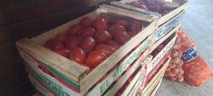 Encarnación no registra solicitudes de importación de tomate, según SENAVE