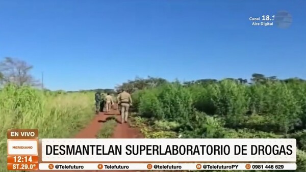 Desmantelan “superlaboratorio” de marihuana en Capitán Bado