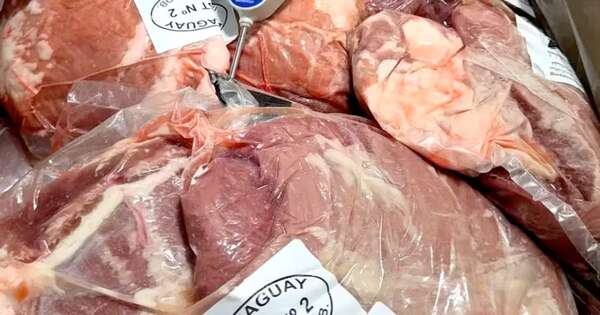 La Nación / Senacsa: Uzbekistán abre su mercado para la carne bovina y ovina local