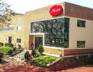 14 años de Mazzei, el origen de una marca con propósito - Empresariales - ABC Color