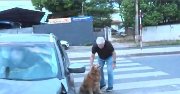 La Nación / Fatal accidente sobre Fernando de la Mora deja un fallecido, su mascota sobrevivió