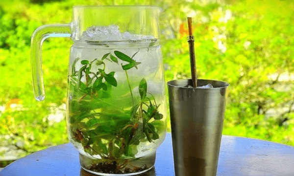 Hoy se celebra el Día Nacional del Tereré, símbolo de identidad paraguaya - OviedoPress