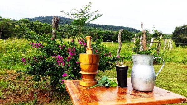 Día Nacional del Tereré: Una tradición de antaño que sigue presente en la sociedad