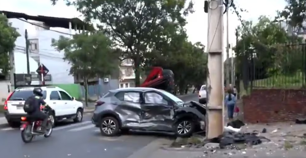 Conductor murió en accidente, su perro se salvó y permaneció a su lado