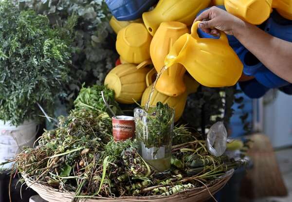 AUDIO: Día Nacional del Tereré: ¿Cuáles son las principales combinaciones de remedios yuyos? - Contacto Ciudadano - ABC Color