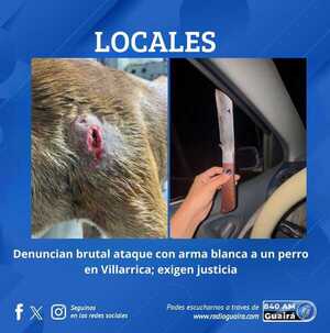 GRAVE HECHO DE MALTRATO ANIMAL EN GUAIRÁ: FAMILIA PIDE JUSTICIA