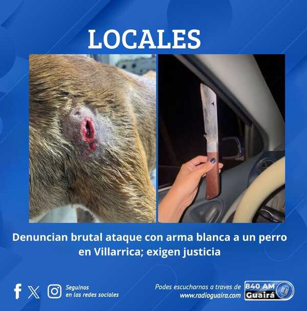 GRAVE HECHO DE MALTRATO ANIMAL EN GUAIRÁ: FAMILIA PIDE JUSTICIA