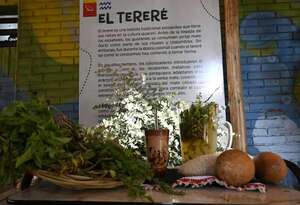 Día Nacional del Tereré: combinación de yuyos es clave para disfrutar de la bebida tradicional - Nacionales - ABC Color