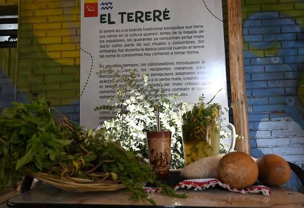 Día Nacional del Tereré: combinación de yuyos es clave para disfrutar de la bebida tradicional - Nacionales - ABC Color