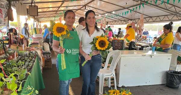 La Nación / Feria de agricultura familiar superó G. 234 millones en ingresos en la Costanera de Asunción