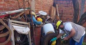 La Nación / Once regiones reportan un aumento de notificaciones de dengue