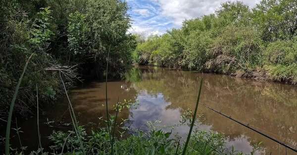 La Nación / Fiscalía imputa a una pareja por muerte de un pescador en el río Yñaro