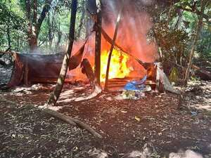 Concepción: constatan invasión de reserva privada Estrella Saite y encuentran plantaciones de marihuana  - Policiales - ABC Color