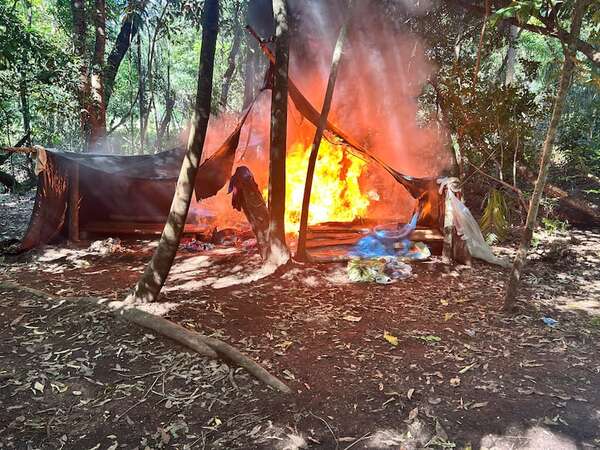 Concepción: constatan invasión de reserva privada Estrella Saite y encuentran plantaciones de marihuana  - Policiales - ABC Color