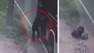 Mujer sufre fractura de cadera tras caer de colectivo que arrancó antes de que bajara - SNT