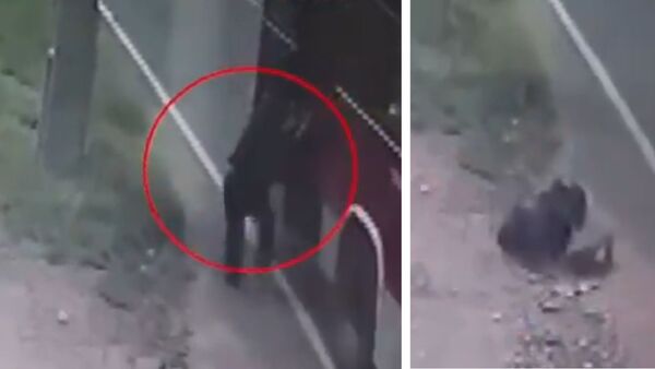 Mujer sufre fractura de cadera tras caer de colectivo que arrancó antes de que bajara - SNT