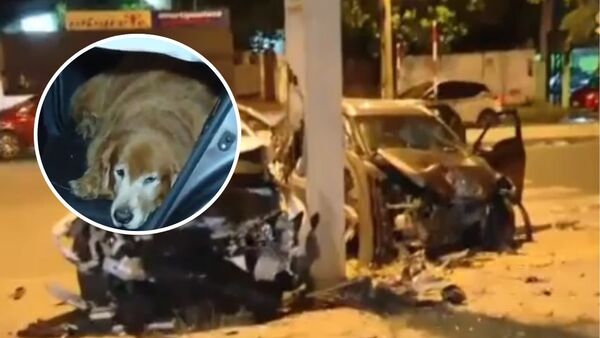 Una persona perdió la vida tras trágico accidente en Fernando de la Mora - SNT