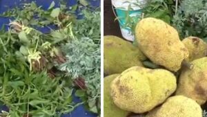 Celebran el Día del Tereré con tradición, sabores y gran movimiento en el Mercado 4 - SNT