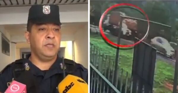 Camionero detenido tras accidente fatal: una piedra cayó de su vehículo y causó la muerte de un joven - SNT