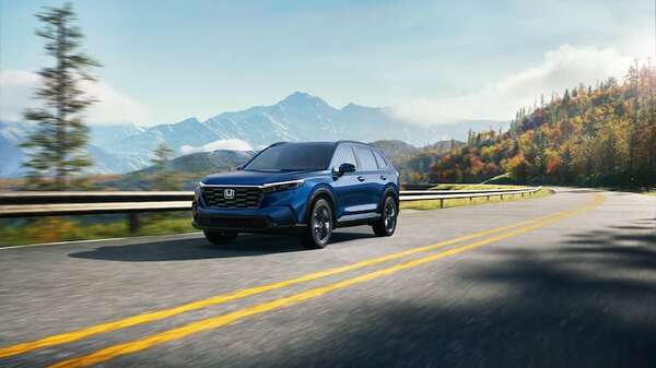 Interpretar tendencias sin perder el rumbo es la visión automotriz de Vicar - ABC Revista - ABC Color