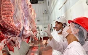 Carne bovina y ovina paraguaya, al mercado de Uzbekistán