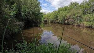 Hombre y una mujer son imputados por presunta muerte de un compañero de pesca