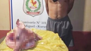 Robó lechón que era para el cumple de su abuela